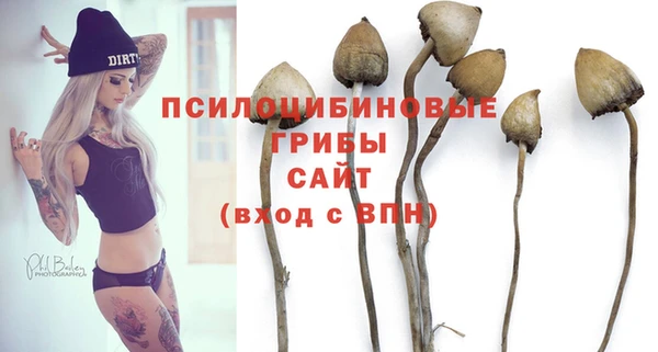 спиды Алексин