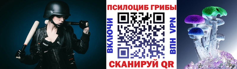 Псилоцибиновые грибы мицелий  Пущино 